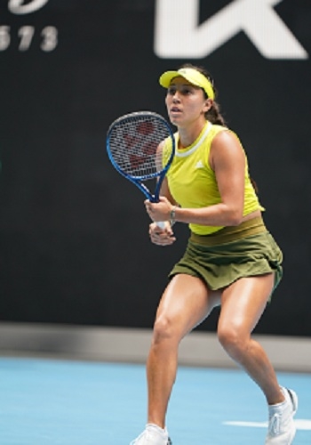 可以引入有 可以引入有