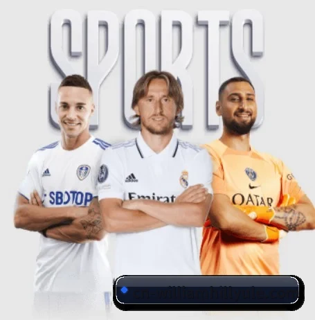 了解平台 - 体育资讯内容服务 - williamhill